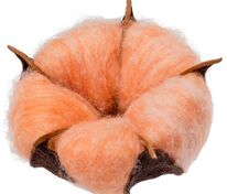 Цветок хлопка Cotton, оранжевый арт.15075.20