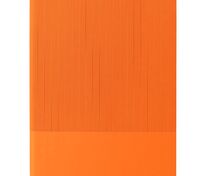 Ежедневник Vale, недатированный, оранжевый арт.16202.20