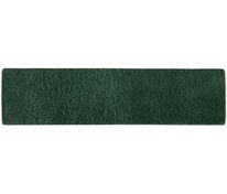 Лейбл кожаный Pasek, S, зеленый арт.16233.90