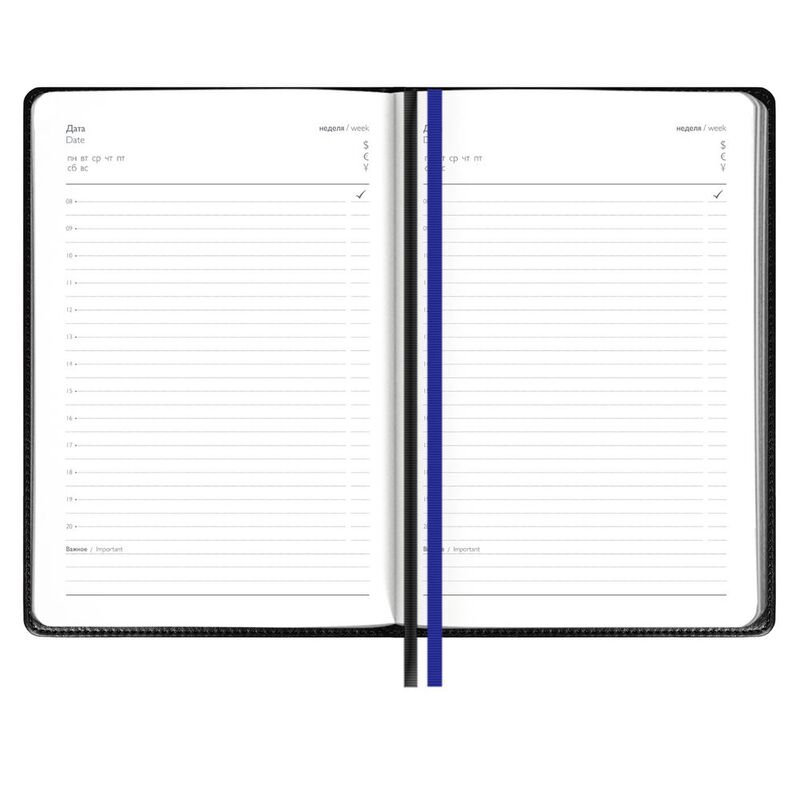 Ежедневник Alanis, недатированный, черный с синим арт.18299.34