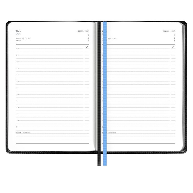 Ежедневник Alanis, недатированный, черный с голубым арт.18299.14