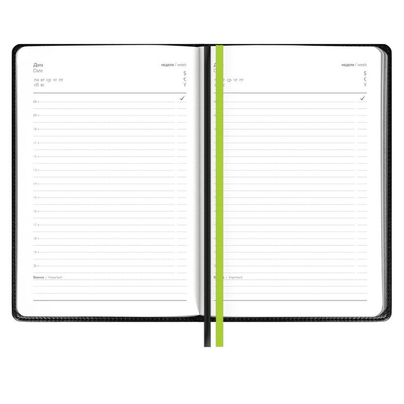 Ежедневник Alanis, недатированный, черный с зеленым арт.18299.39