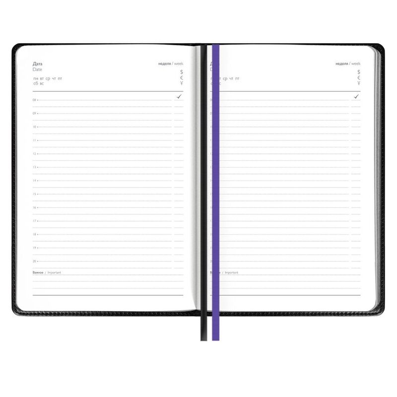 Ежедневник Alanis, недатированный, черный с фиолетовым арт.18299.37