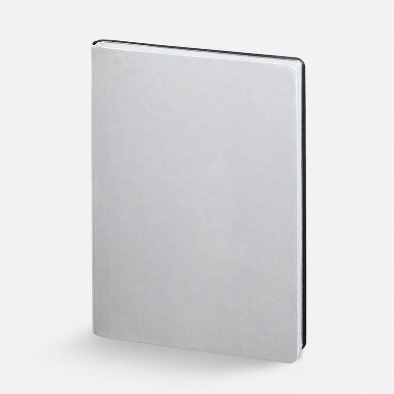 Ежедневник Nebraska Flex, недатированный, ver. 2, серебристый арт.22008.10