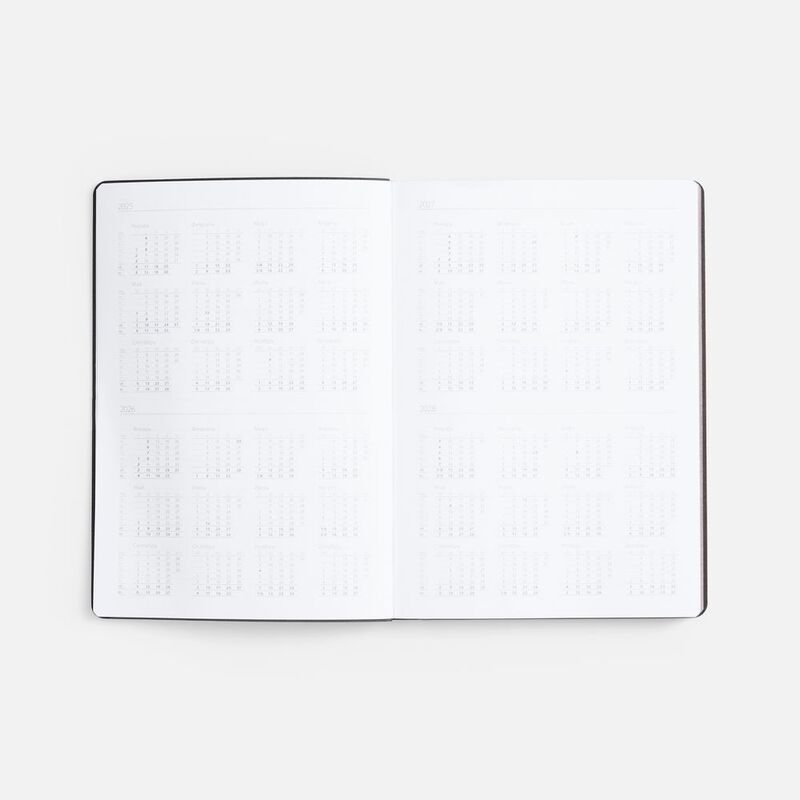 Ежедневник Nebraska Flex, недатированный, ver. 2, серебристый арт.22008.10