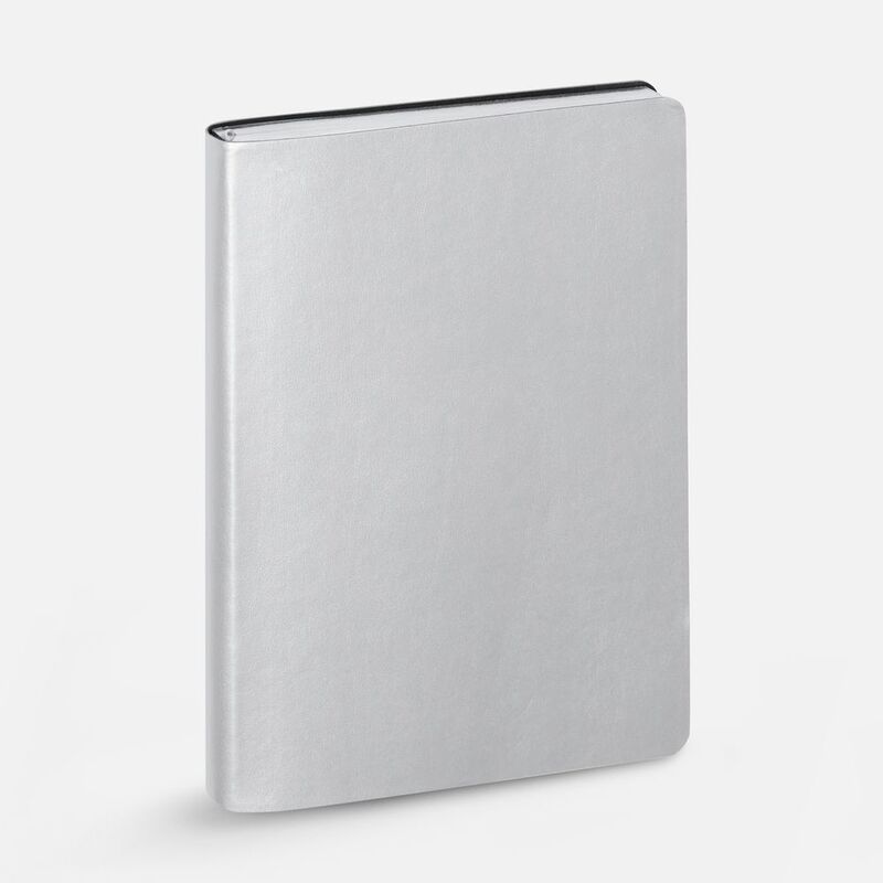 Ежедневник Nebraska Flex, недатированный, ver. 2, серебристый арт.22008.10