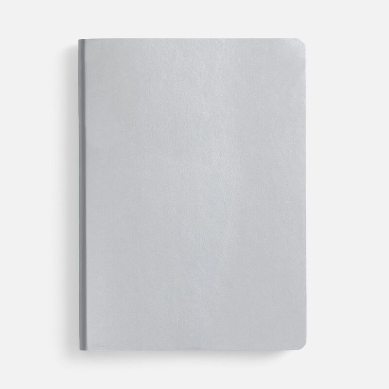 Ежедневник Nebraska Flex, недатированный, ver. 2, серебристый арт.22008.10