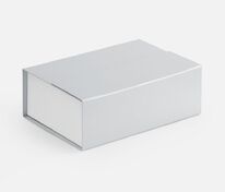 Коробка Bicolor Case, белая с серым арт.17618.10