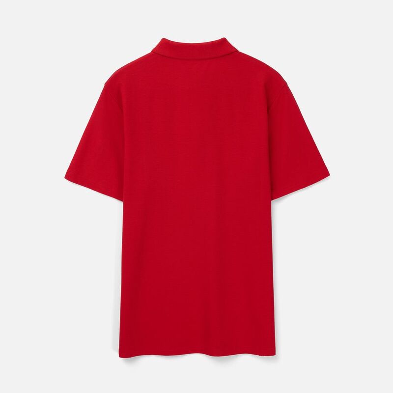 Рубашка поло унисекс Tervise, красная арт.19419.50