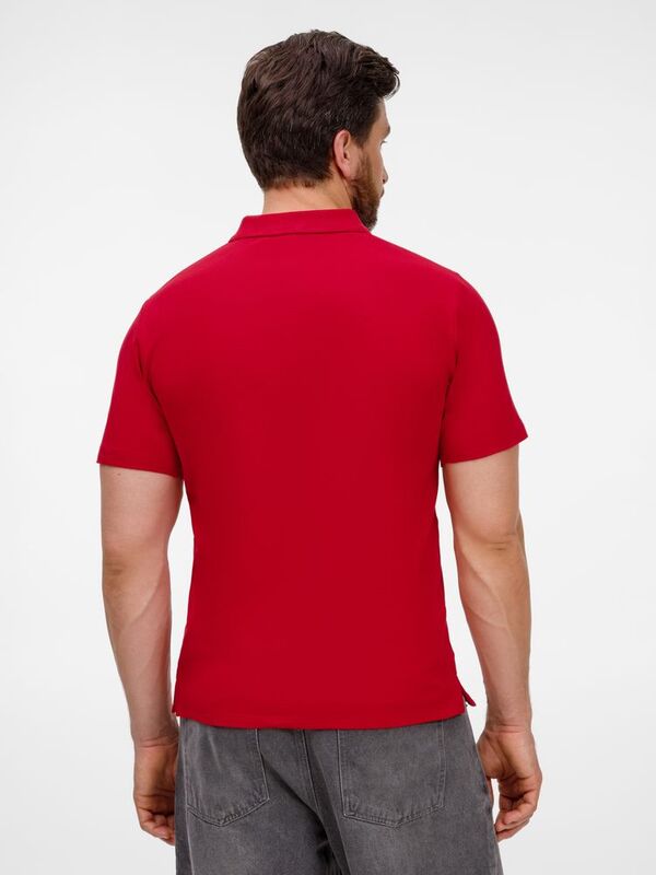 Рубашка поло унисекс Tervise, красная арт.19419.50