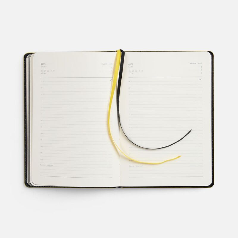 Ежедневник Alanis, недатированный, черный с желтым арт.18299.38