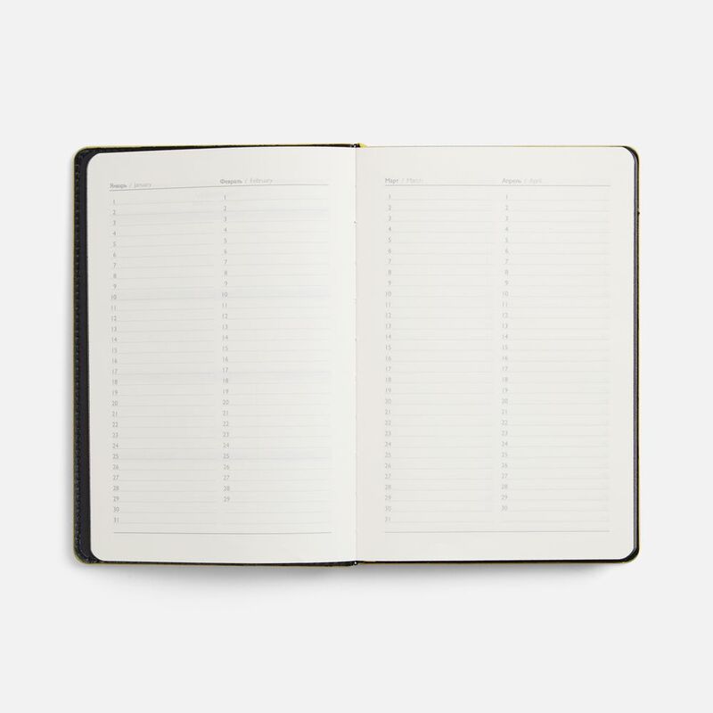 Ежедневник Alanis, недатированный, черный с желтым арт.18299.38