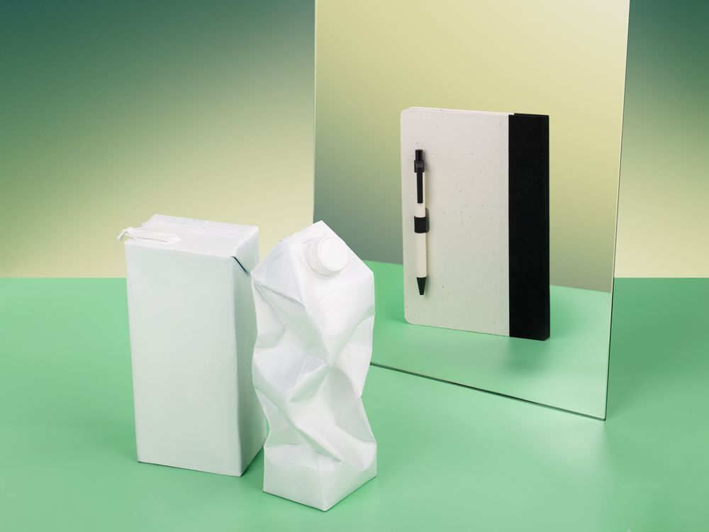 Ручка шариковая MilkMake, черная арт.19917.30