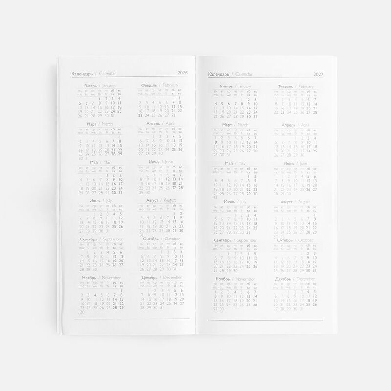 Еженедельник Baza, датированный, серый арт.18295.10