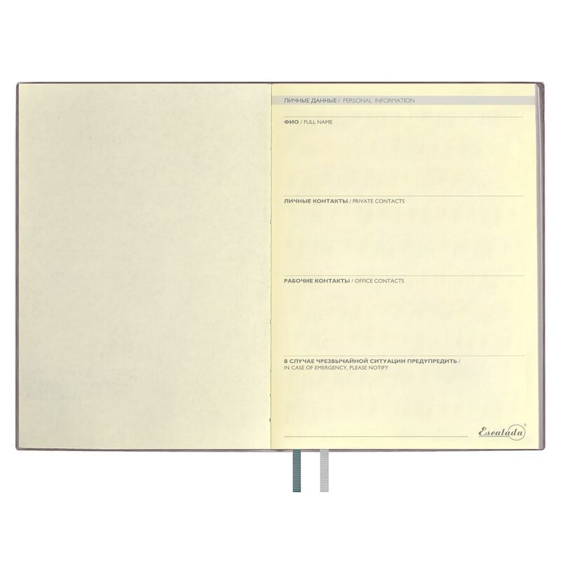 Ежедневник Avila, недатированный, серый арт.18298.10