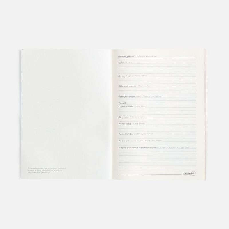 Ежедневник Repute, недатированный, синий арт.20132.40