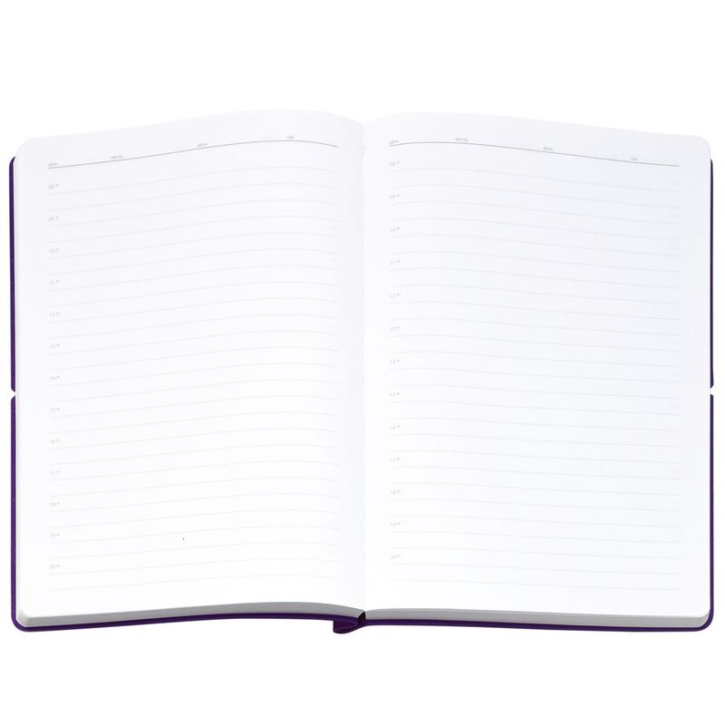 Ежедневник Flexpen Bright, недатированный, фиолетовый арт.21168.70