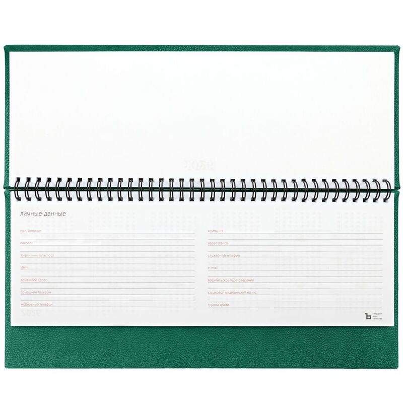 Планинг Sagrin, датированный, зеленый арт.21181.90