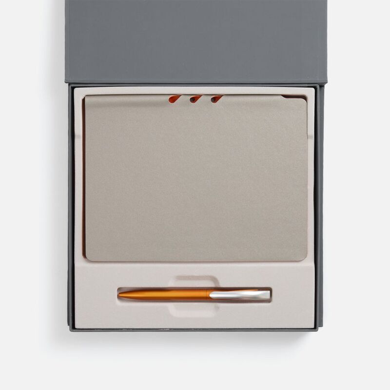 Набор Flexpen Grey, оранжевый арт.22421.12