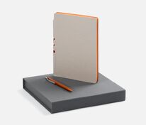 Набор Flexpen Grey, оранжевый арт.22421.12