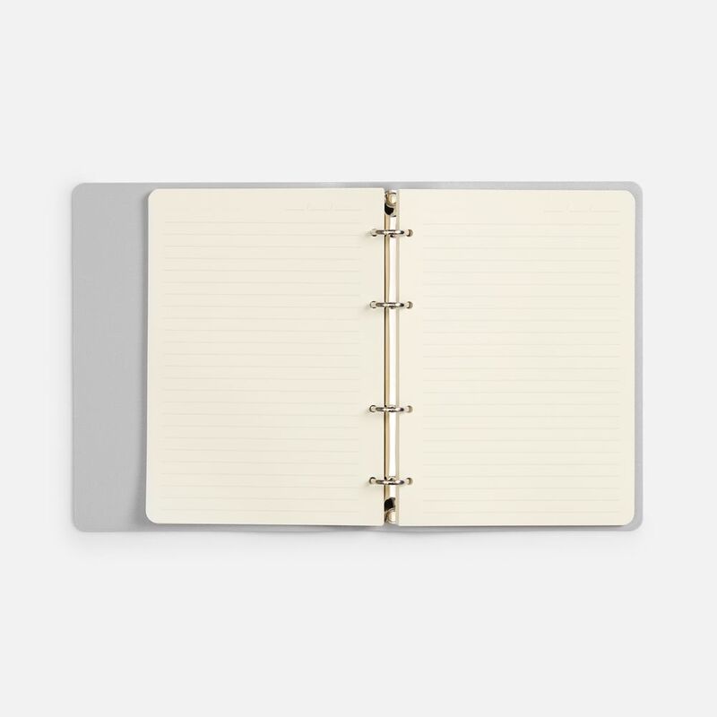 Ежедневник Ringo, недатированный, серебристый арт.22091.10