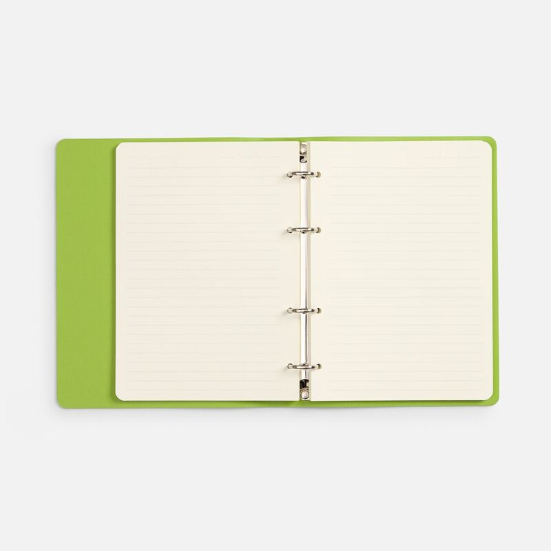 Ежедневник Ringo, недатированный, зеленый арт.22091.90