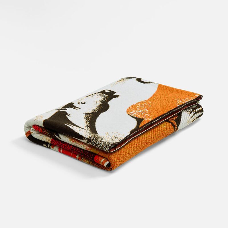 Плед &laquo;Огнегривые&raquo; арт.19256.00