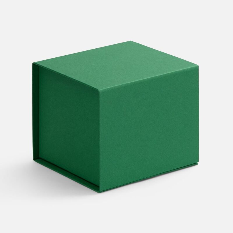 Коробка Alian, зеленая арт.7887.90