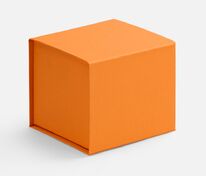 Коробка Alian, оранжевая арт.7887.20