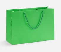 Пакет бумажный Ample Thin M, светло-зеленый арт.250014.92