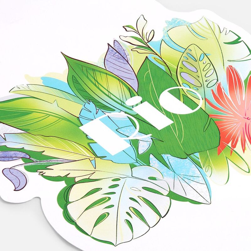 Шубер Casefect на заказ, XL арт.24100.04