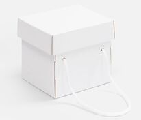 Коробка Kitbag, ver.2, белая арт.25174.60