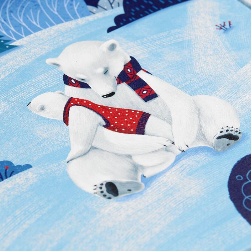 Набор &laquo;Мишкин очаг&raquo; арт.22207.00