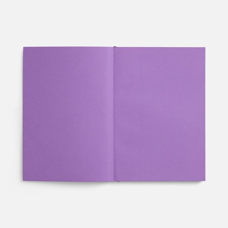 Ежедневник Flat, недатированный, фиолетовый, ver.2 арт.17893.07