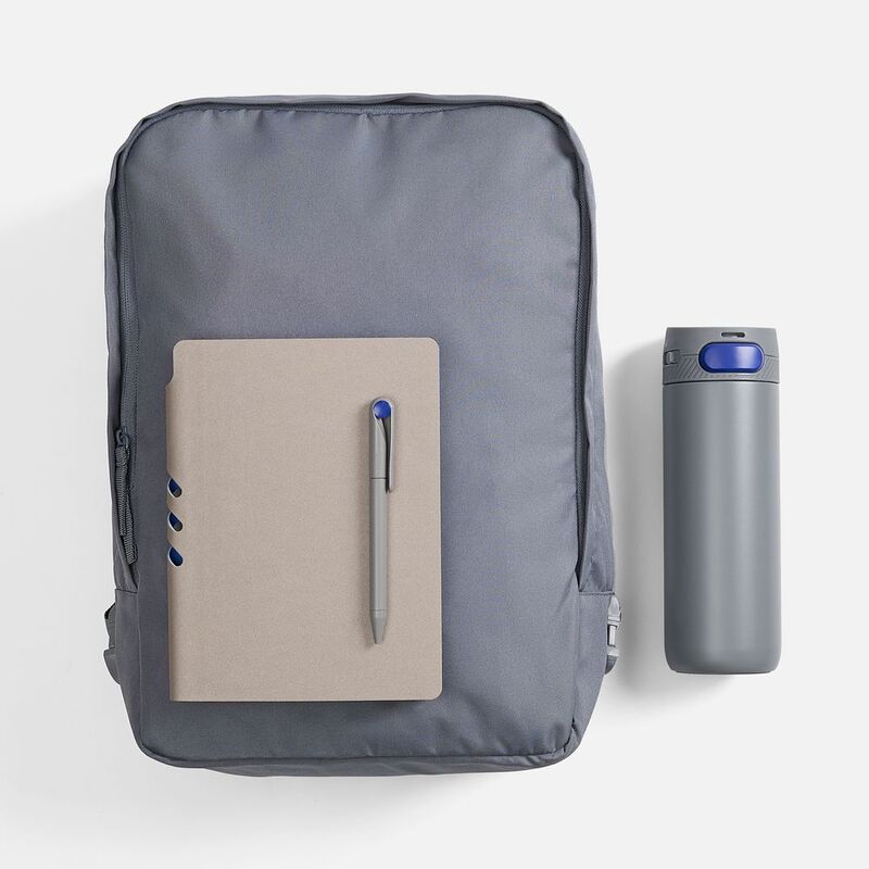 Набор Flexpen Travel, серый с синим арт.21941.14