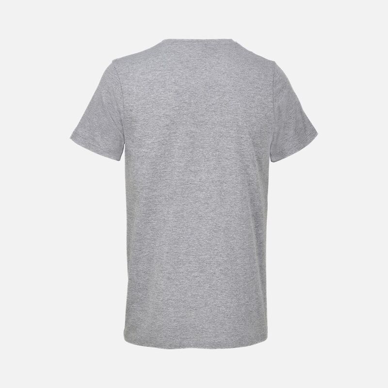 Футболка унисекс Regent с V-образным вырезом, серый меланж арт.04765350