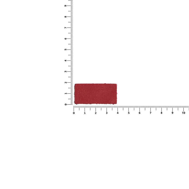 Лейбл кожаный Pasek, XS, красный арт.16572.50