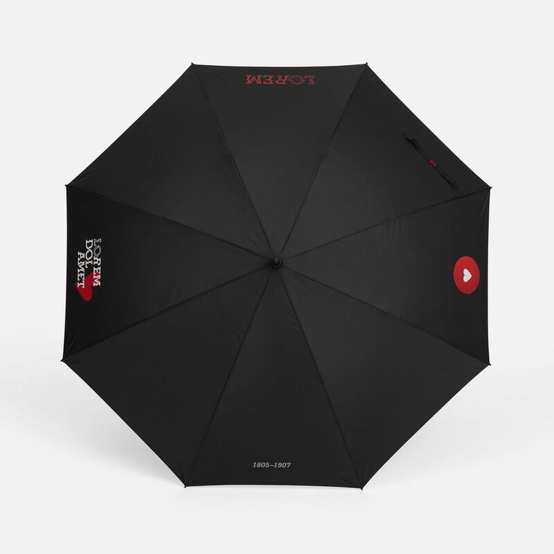 Зонт-трость Rainzee, ver.2, черный арт.18783.32