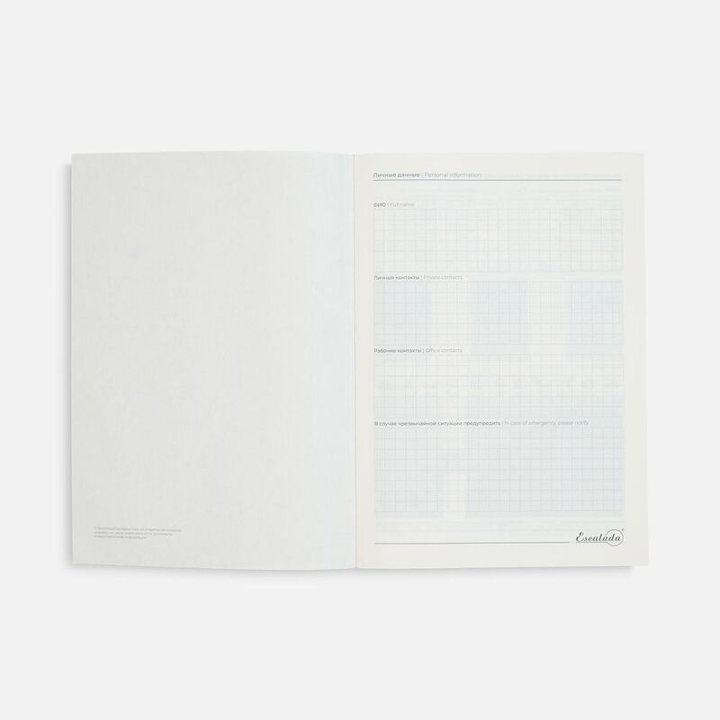 Ежедневник Stitch, недатированный, красный арт.21136.50