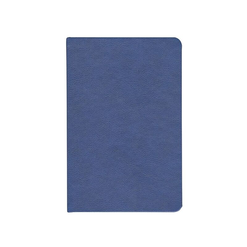 Ежедневник Daily Mini, недатированный, синий арт.21178.40