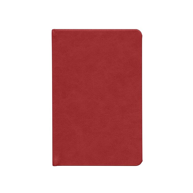 Ежедневник Daily Mini, недатированный, красный арт.21178.50