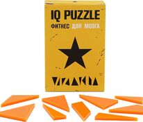 Головоломка IQ Puzzle, звезда арт.12108.04