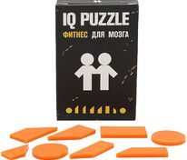 Головоломка IQ Puzzle, близнецы арт.12108.14